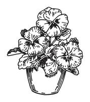 skizzieren von Stiefmütterchen im ein Topf. Frühling Zeit Blume Clip Art. Hand gezeichnet Vektor Illustration isoliert auf Weiß Hintergrund.