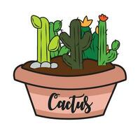 grupp av annorlunda färgad kaktus på en pott vektor illustration