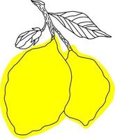 vektor citroner hela frukter isolerade
