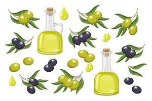 uppsättning av svart och grön oliver. oliv olja, droppar av olja och kvistar med oliver och löv. mat illustration, vektor