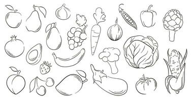 grönsaker och frukt i linje konst stil. stor uppsättning av hand dragen grönsaker, frukt och bär. vektor illustration isolerat på en vit bakgrund.