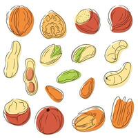 Nüsse Symbole einstellen im Linie Kunst Stil. Erdnuss, Pekannuss, Cashew, Haselnuss, Macadamia, Nussbaum, Mandel, Pistazie. Vektor Illustration isoliert auf ein Weiß Hintergrund.