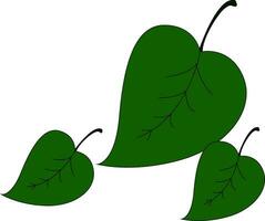 Blätter Symboldrei deltoidenförmig Blätter Vektor oder Farbe Illustration