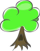 teckning av en treewoody perenn växt vektor eller Färg illustration