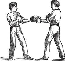 zwei Boxer im ein Kampf Position Jahrgang Gravur vektor