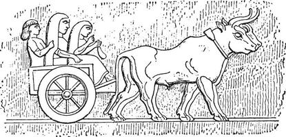assyrisk vagn, årgång gravyr. vektor