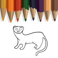 Vektor isoliert Illustration von Frettchen Tier Färbung Buchseite.