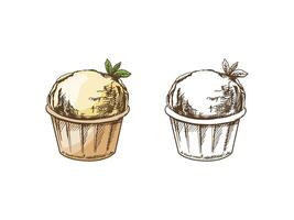 ein handgemalt farbig und einfarbig skizzieren von ein Eis Creme, Cupcake mit Minze im ein Tasse. Jahrgang Illustration. Element zum das Design von Etiketten, Verpackung und Postkarten. vektor