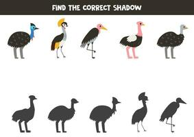 finden Schatten von süß Karikatur Vögel. lehrreich logisch Spiel zum Kinder. vektor