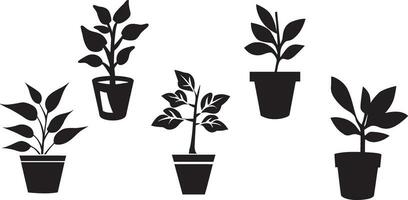 schwarz und Weiß eingetopft Pflanze Symbole Satz. einstellen von eingetopft Pflanze Silhouetten. Pflanzen im Töpfe. eingetopft Pflanze Vektoren