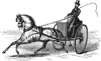2-hjulig vagn dragen förbi en enda häst, årgång gravyr vektor