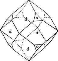 Dodekaeder und Oktaeder Jahrgang Illustration. vektor