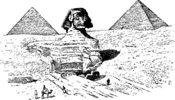 das großartig Sphinx, Jahrgang Illustration. vektor