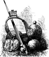 Relikte von das Schlacht von Monmouth Jahrgang Illustration vektor