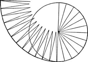 cirkel tillverkad upp av trianglar årgång illustration. vektor