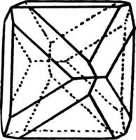 oktaeder och dodekaeder årgång illustration. vektor