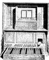 organ, årgång illustration. vektor