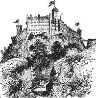 Schloss, Jahrgang Illustration. vektor