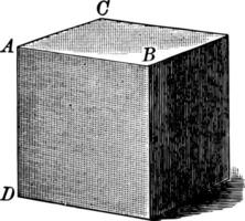 kub med ansikten skuggad årgång illustration. vektor