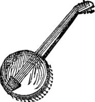 banjo, årgång illustration. vektor