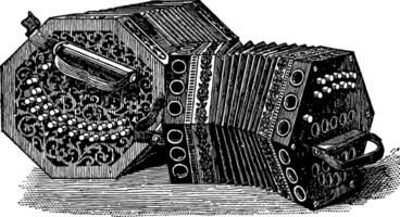 Konzertinas, Jahrgang Illustration. vektor