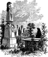 macomb's monument årgång illustration vektor