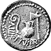 mynt av csar årgång illustration. vektor