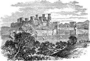 aberconway slott, nu känd som Conway slott, i de norr kust av Wales. vektor
