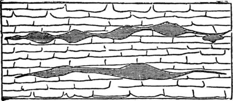 geologisch Vene, Jahrgang graviert Illustration. vektor