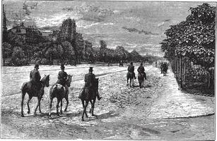 Allee foch oder Allee du bois de Boulogne im Paris Frankreich Jahrgang Gravur vektor