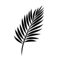 ein Palme Baum Blatt Silhouette Vektor isoliert auf ein Weiß Hintergrund