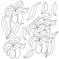 Blumenillustration im Handzeichnungsstil vektor