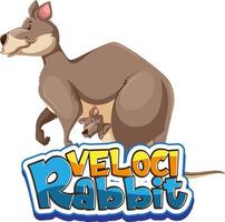 Känguru-Cartoon-Figur mit Velocirabbit-Schriftart-Banner isoliert vektor