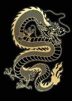 traditionell golden asiatisch Drachen Illustration auf schwarz Hintergrund vektor