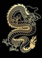 traditionell gyllene asiatisk drake illustration på svart bakgrund vektor