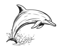 delfin Hoppar hand dragen skiss vektor