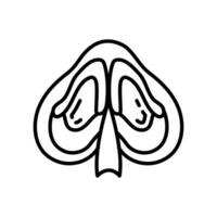 nasal septal ikon i vektor. logotyp vektor