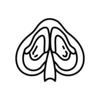 Nasal- Septum Symbol im Vektor. Logo vektor