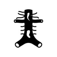 Bauch Arterien Symbol im Vektor. Logo vektor