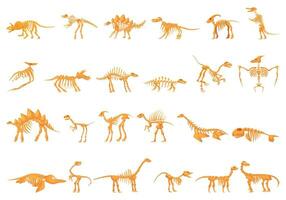 Dinosaurier Skelett Symbole einstellen Karikatur Vektor. Sockel Fossil uralt vektor