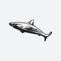 svart haj illustration vektor