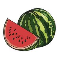 Wassermelone-Vektor-Illustration vektor