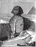 großartig Sphinx von Gizeh im Gizeh Ägypten Jahrgang Gravur vektor