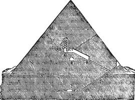 Schneiden das großartig Pyramide von Memphis, Jahrgang Gravur. vektor