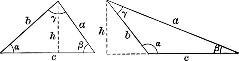 Gesetz von Sinus Jahrgang Illustration. vektor