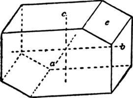 Hemibrachy Kuppel Jahrgang Illustration. vektor