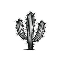 Vektor Hand gezeichnet Kaktus Gekritzel Mexikaner nopal Vektor Illustration isoliert auf Weiß Hintergrund