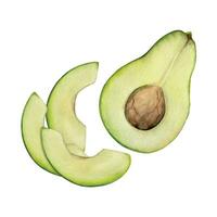 Hand gezeichnet Aquarell Avocado Gemüse, Nüsse zum Diät und gesund Lebensstil, Salat vegan Kochen. Illustration Komposition isoliert auf Weiß Hintergrund. Design Poster, drucken, Webseite, Karte, Speisekarte vektor