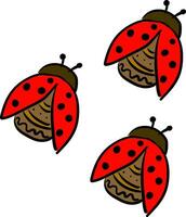 tre söt liten lady skalbaggar vektor eller Färg illustration