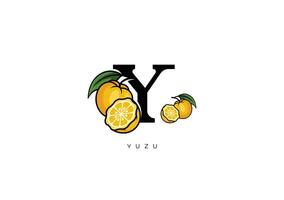 gul yuzu frukt vektor, bra kombination av yuzu frukt symbol med brev y vektor